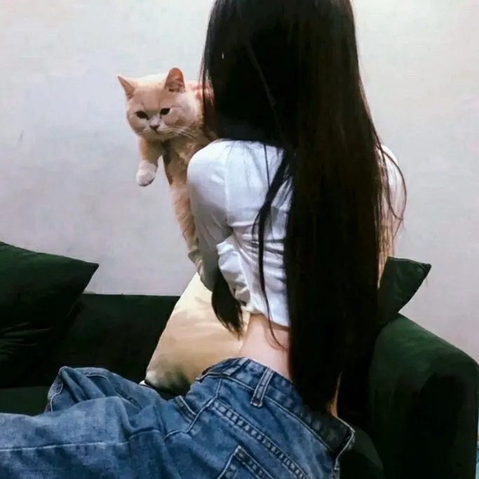彼得·贝尔历险记